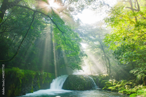 菊池渓谷の光芒, 日本,熊本県,菊池市