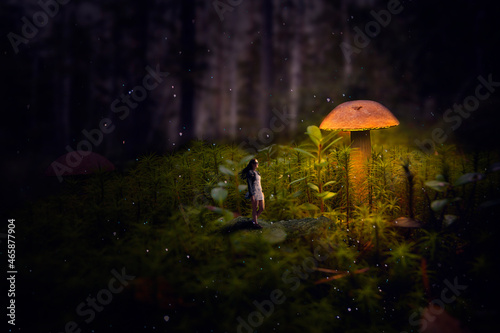 A little girl stands in the forest of giants under a mushroom photo