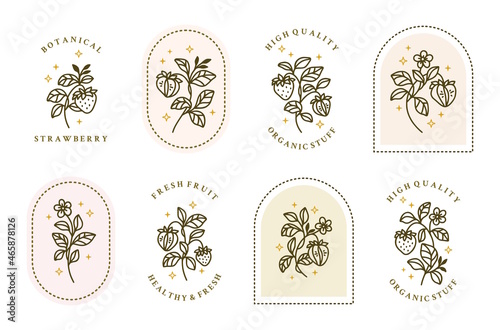 Set of vintage hand drawn botanical strawberry and leaf branch logo elements
