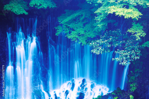 新緑と白糸の滝, 富士宮市,静岡県