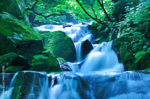 苔の生えた岩と魚止の滝, 十和田市,青森県 photo