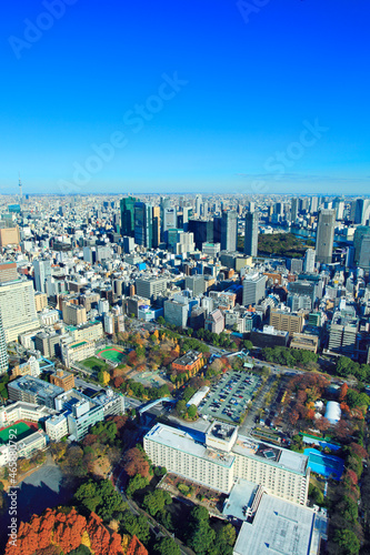 東京タワーから望む東京スカイツリー方面と汐留のビル群, 港区,東京都 photo