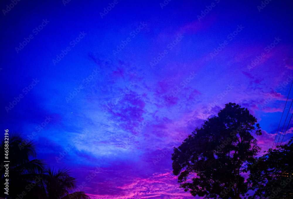 Naklejka premium landscape with trees