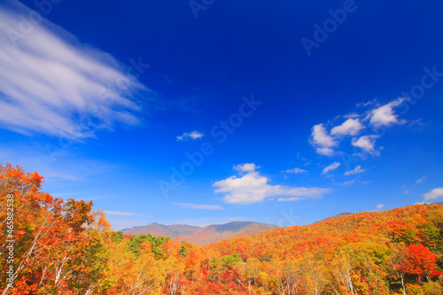 紅葉の樹林と焼額山などの山並み, 山ノ内町,下高井郡,長野県