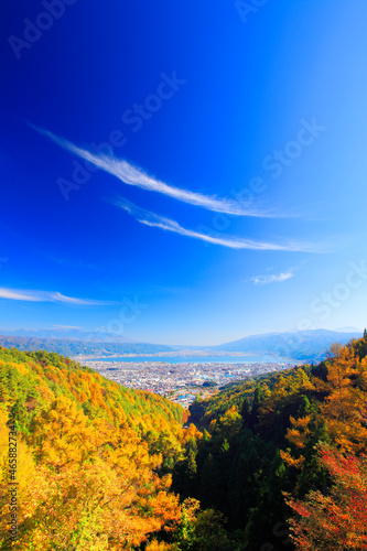 紅葉のカラマツ林と八ケ岳連峰と諏訪湖と秋空, 塩尻市,長野県