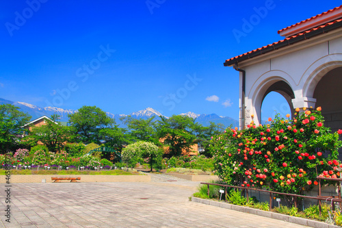 バラの花園と常念岳と横通岳と豊科近代美術館のアーチ壁と広場, 安曇野市,長野県