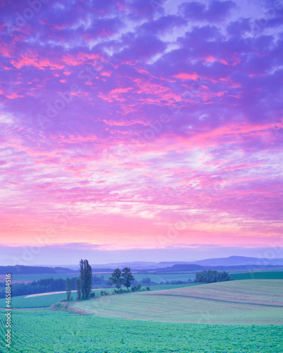 ジャガイモ畑と木立と朝焼け, 美瑛町,上川郡,北海道