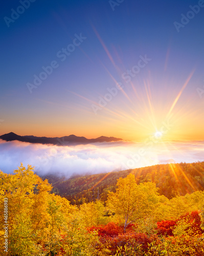 紅葉の樹林と雲海と武利岳などの山並みと朝日, 上川町,上川郡,北海道