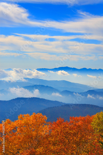 ダケカンバの紅葉と木曽駒ヶ岳など中央アルプス, 松本市,長野県