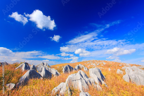 草紅葉とカルスト台地の石灰岩とわた雲, 日本,美祢市,山口県 photo