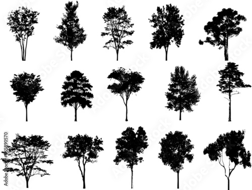 collection of trees vector on white background