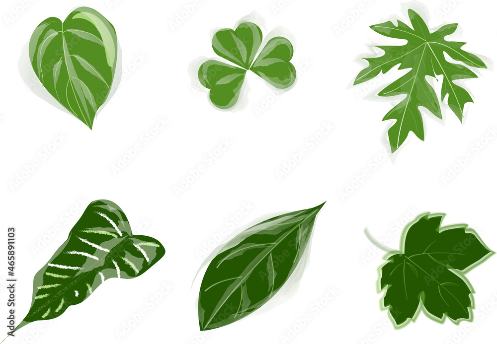 leafs leafs