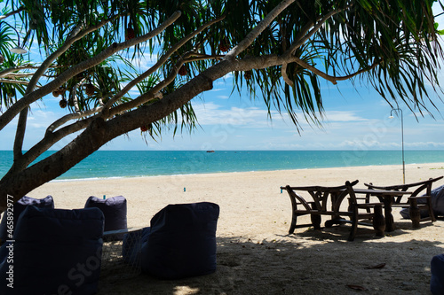 Outdoor living with seashore screwpine or Pandanus tectorius tree with ripe hala fruit on the  tropical beach with sea and cloud,blue sky and sunlight background on summer holiday. photo