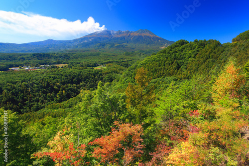 噴火する御嶽山と紅葉の樹林, 日本,長野県,木曽郡,木曽町