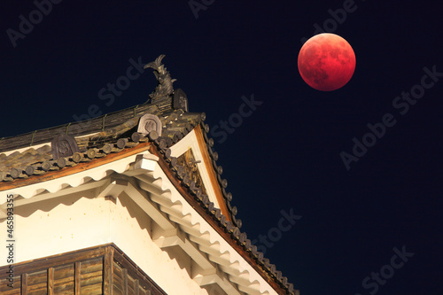 皆既月食と上田城の南櫓の鯱, 日本,長野県,上田市 photo