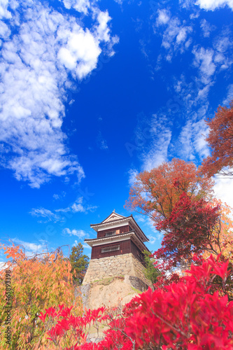 上田城の南櫓と紅葉, 日本,長野県,上田市
