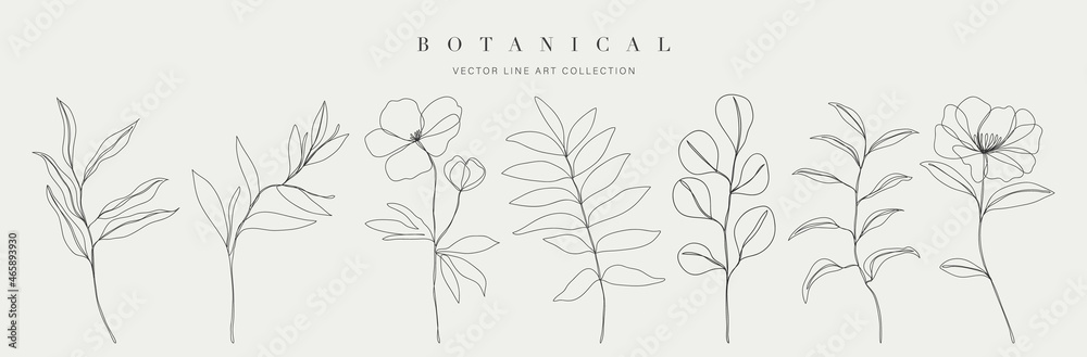 Botanical arts. Hand drawn continuous line drawing of abstract flower, floral, rose, tropical leaves, spring and autumn leaf, bouquet of olives. Vector illustration. - obrazy, fototapety, plakaty 