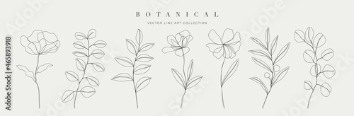 Botanical arts. Hand drawn continuous line drawing of abstract flower, floral, rose, tropical leaves, spring and autumn leaf, bouquet of olives. Vector illustration.
