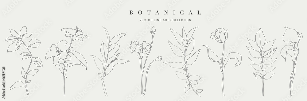 Botanical arts. Hand drawn continuous line drawing of abstract flower, floral, rose, tropical leaves, spring and autumn leaf, bouquet of olives. Vector illustration.