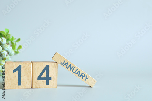 January 14, Calendar cover design with number cube with green fruit on blue background.