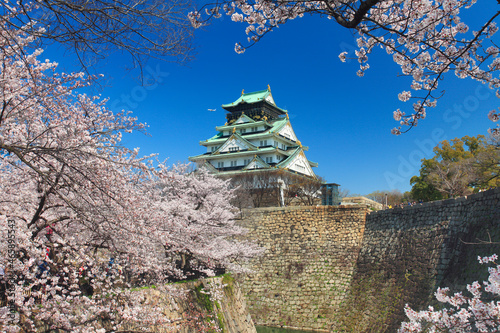 桜咲く大阪城, 日本,大阪府,大阪市