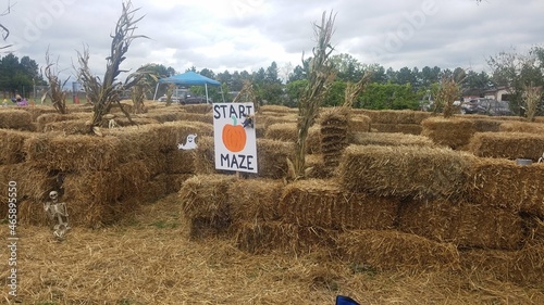 Community fall festival