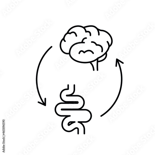 Gut Brain Axis. Brain and stomach line icon. Brain gut connection. Psychobiotic medical concept. Vector illustration on white background photo