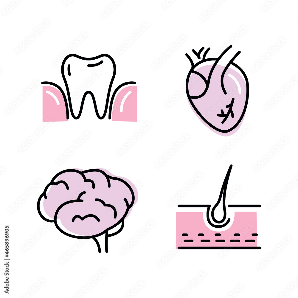 Intestines flat icon. Collection of outline symbols. Graphic Set of humans organs Brain Heart Tooth Hair. Vector illustration on white background