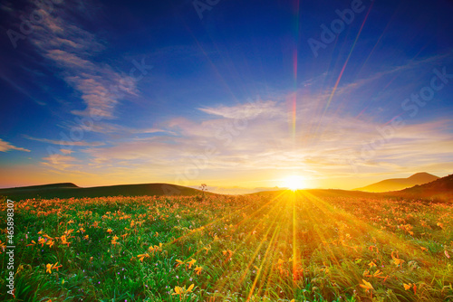 ニッコウキスゲと朝日と蓼科山, 甲信越,長野県,諏訪市