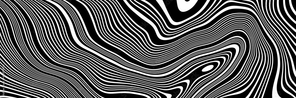Abstract topographic contour. Black and white terrain.