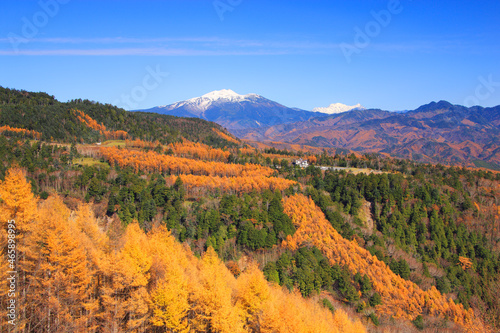 カラマツ林と乗鞍岳と穂高連峰, 三岳村,長野県 photo