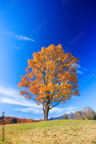 紅葉の木立と御岳, 開田村,長野県