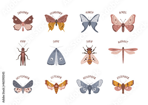 Insects in boho style with months. Alchemy esoteric symbols. Celestial elements for childbirth, birthday, to-do list, planner and calendar. Modern vector illustration.
