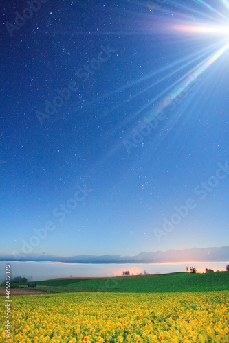 月夜のヒマワリ畑と星空と十勝連峰, 上富良野町,空知郡,北海道 photo