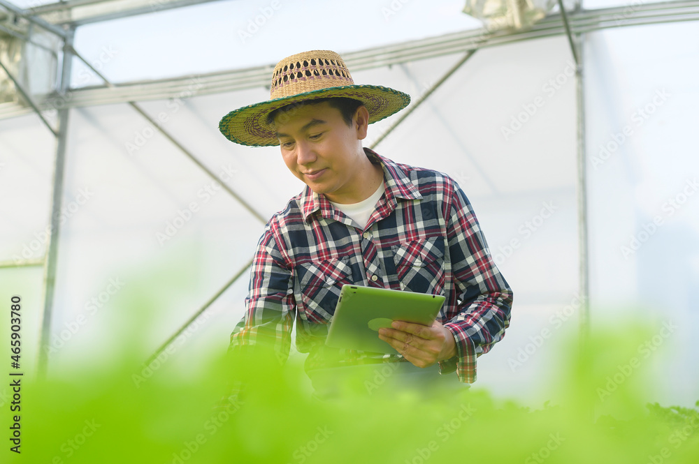 Happy male farmer working using tablet in hydroponic greenhouse farm, clean food and healthy eating concept