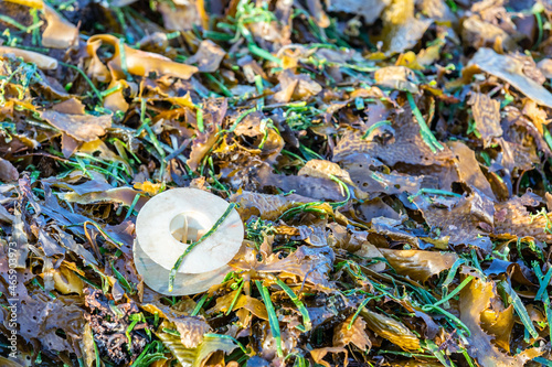 A plastic reel washed up on a pile of seaweed on a beach