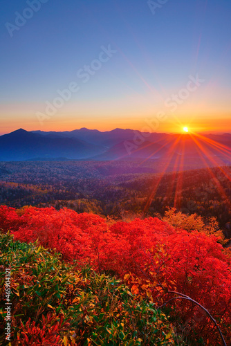 赤岳第一花園から望むナナカマドと武利岳などの山並みと朝日, 北海道,北海道,上川郡,上川町