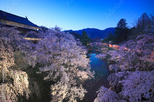 上田城千本桜まつりのライトアップと北櫓, 日本,長野県,上田市 photo