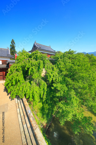 高度7mから望む新緑の上田城の北櫓, 日本,長野県,上田市 photo