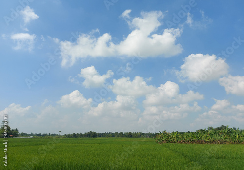 Blue sky and white clouds. Fluffy cloud in the blue sky background. blue sky with white cloud background. Blue sky in the springtime 