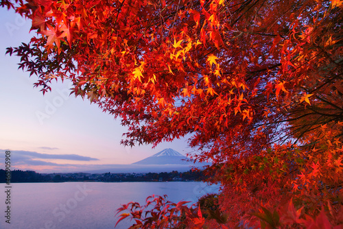 モミジと富士山と朝の河口湖, 日本,山梨県,南都留郡,富士河口湖町