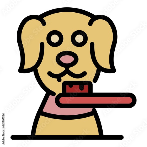 Groomer dog brush icon. Outline groomer dog brush vector icon color flat isolated