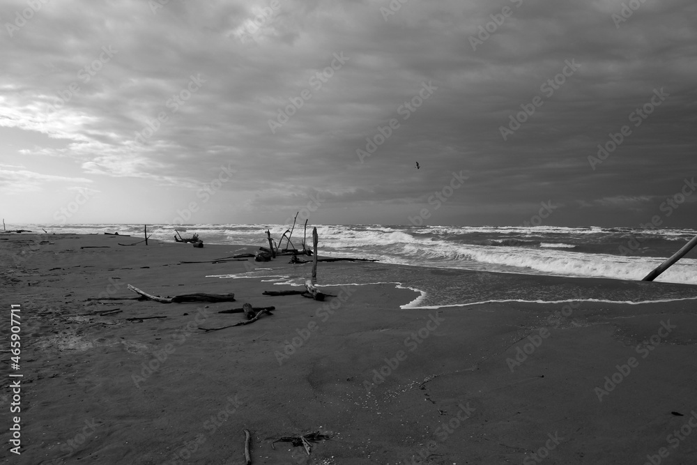 View of Torred el lago free beach View of Torred el lago free beach