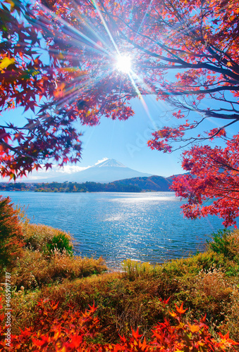 モミジと富士山と河口湖と木もれ日, 日本,山梨県,南都留郡,富士河口湖町