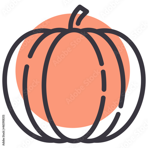 Pumpkin Icon