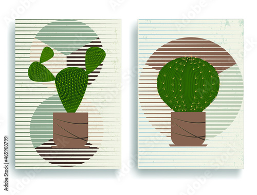 Cactus in terracotta pots . Boho art style . Vector illustration