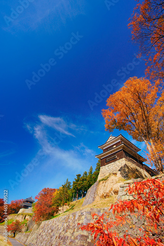 上田城の南櫓と西櫓とケヤキなどの紅葉, 日本,長野県,上田市