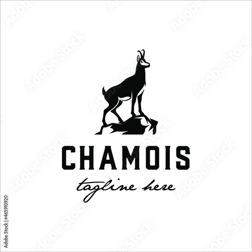 Chamois standing on the rocks with a classic style design photo