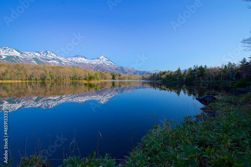 Konstfotografi Nature photography,Shiretoko,World Natural Heritage Site,森林の風景　北海道・知床半島　世界自然遺産１８