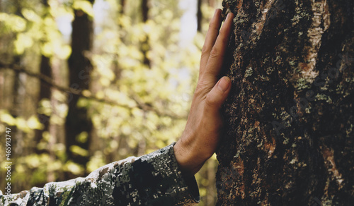 Hand touch the tree trunk. Man hand touches a pine tree trunk, close-up. Human hand touches a tree trunk. Bark wood. Wild forest travel. Ecology - a energy forest nature concept.. #465913747